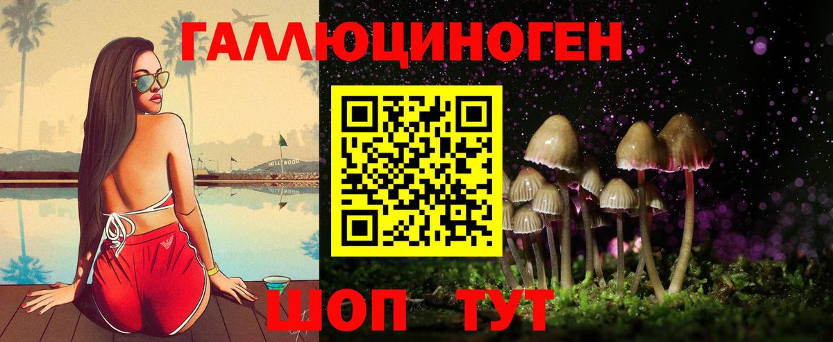 купить наркотик  Вход с VPN  Псилоцибиновые грибы MAGIC MUSHROOMS  Ногинск  Галлюциногенные грибы ЛСД 